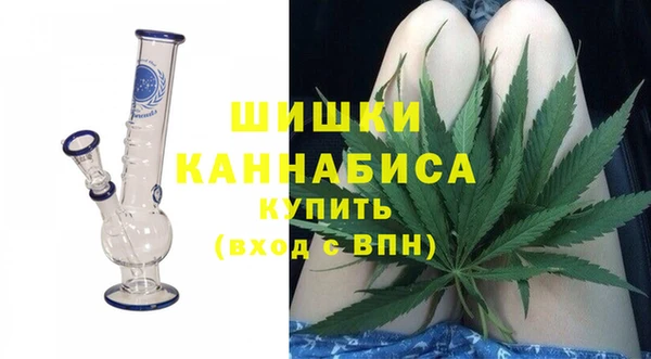 гидра Коряжма