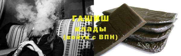 гидра Коряжма