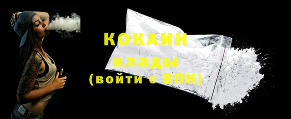 гидра Коряжма