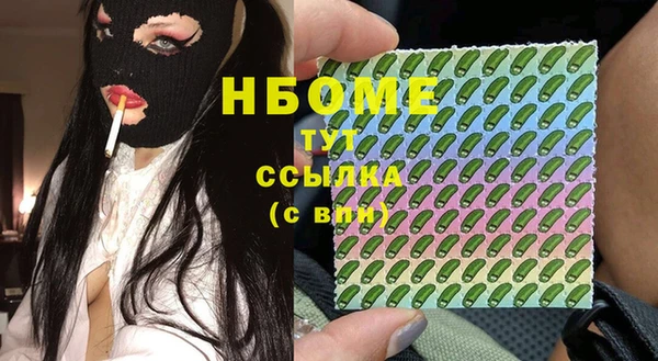 гидра Коряжма